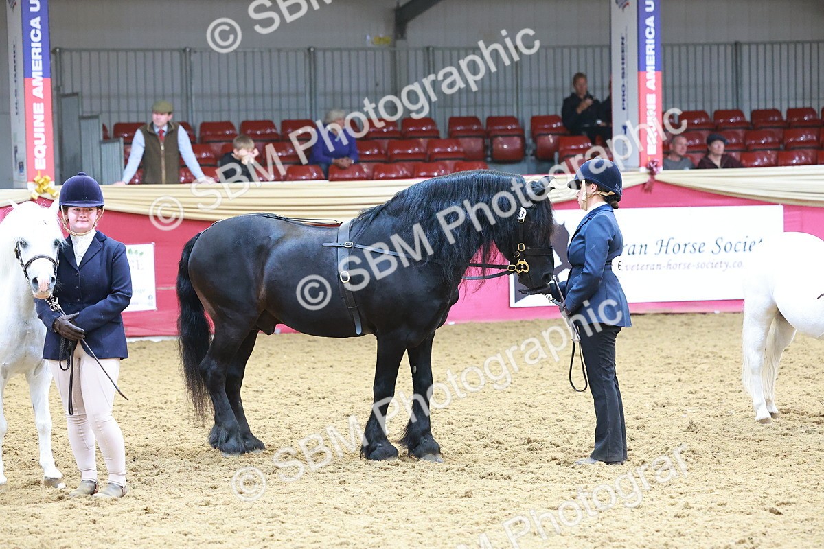 SBM_16793