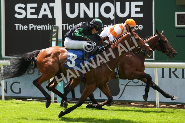 yr10062022r1-16 - Race 1 2.00pm Constant Security Gentlemen Amateur Riders Stakes