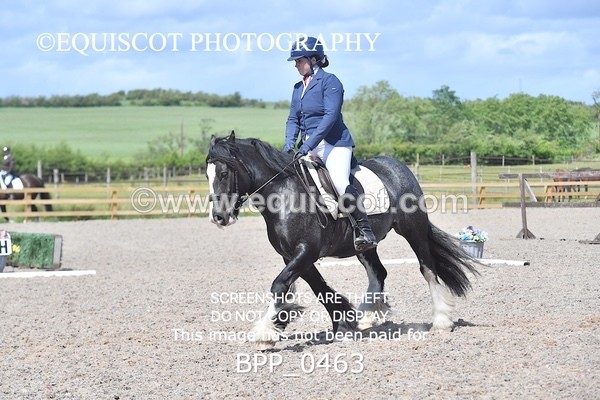BPP_0463 - MFS NOVICE