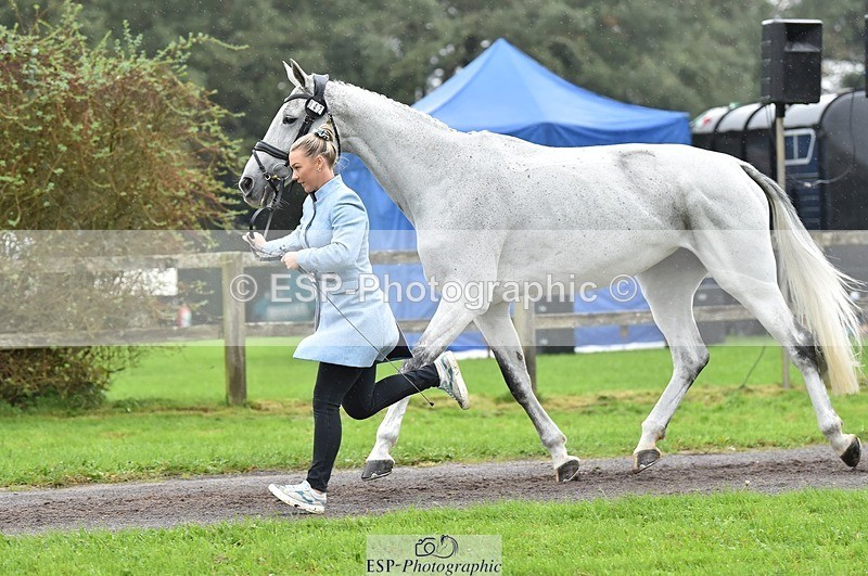 231018-123048-00341 - 042-WKD.COOLEY-Chiara.Grimaldi-TrotUp