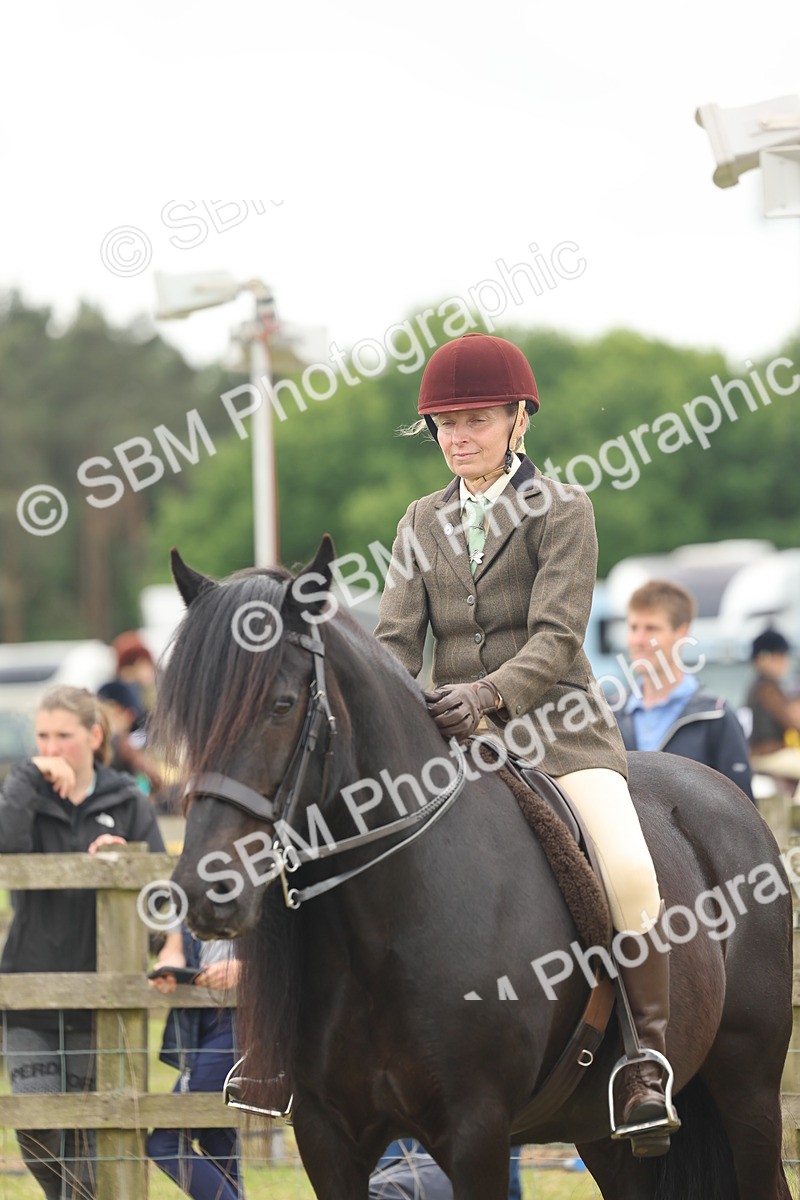 SBM_09004 - Class 78-80 - Ridden M&M Non Welsh Ponies