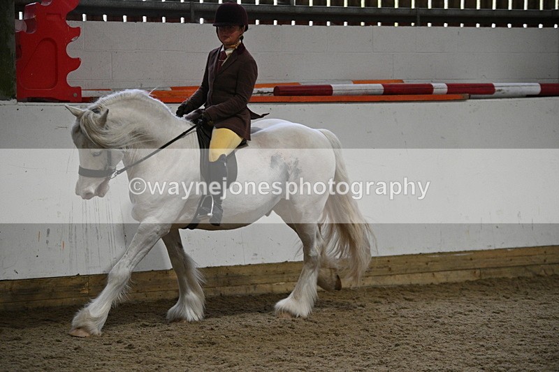 WJ7_4204 - Class 17 Ridden Cob