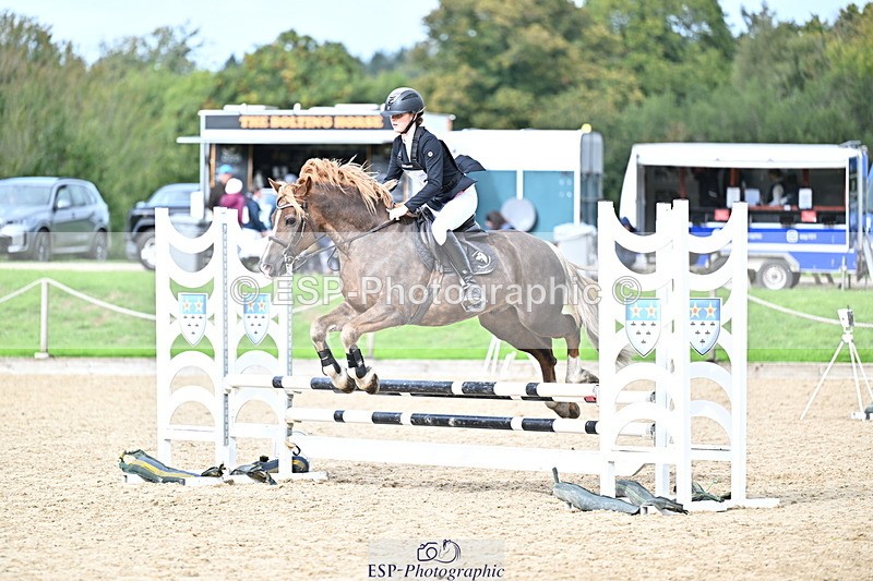 251005A-135837-04233 - Cls 09 Nov 80-85cm