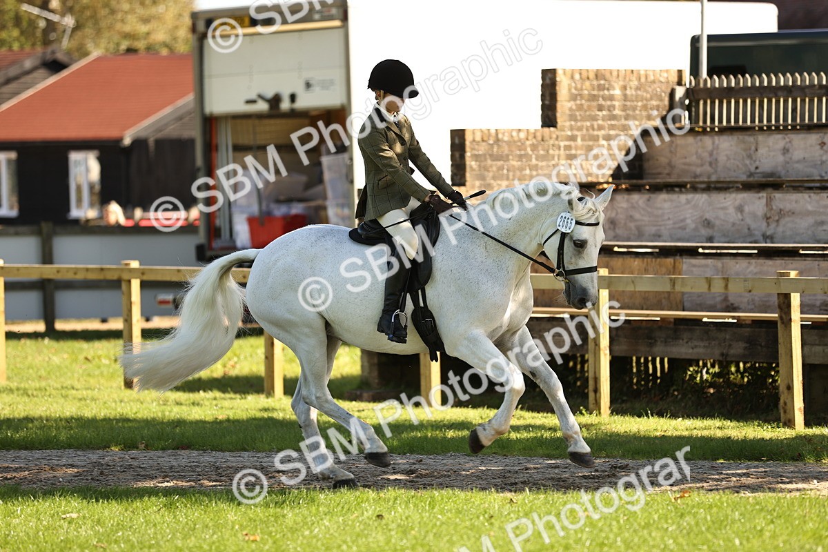 SBM_19131 - S3 - TSR Ridden Pony Showing