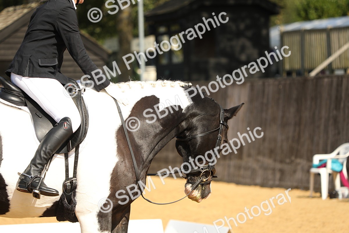 SBM_22188 - D17 - Grand Tour Championship - Novice 27