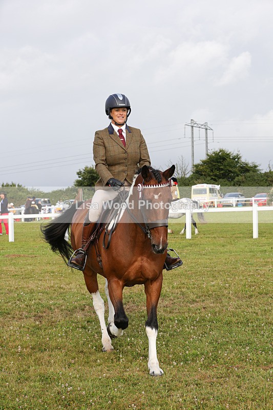 1X9A2898 - Class 25: Ridden Plaited Coloured Horse