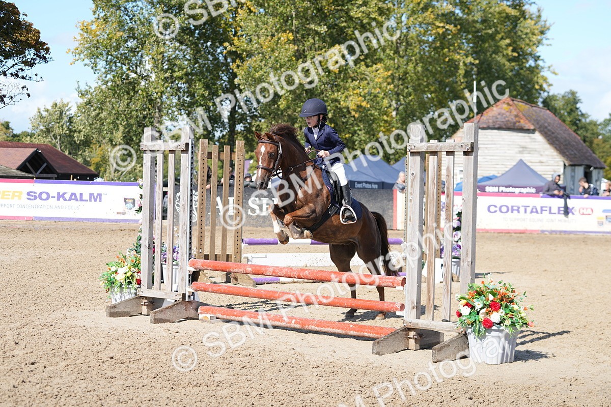 SBM_44400 - J7 - Junior Pony 60cm Championship