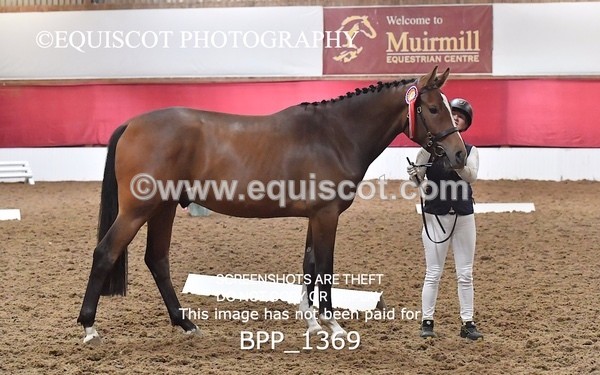 BPP_1369 - MORNING 9AM - 12PM