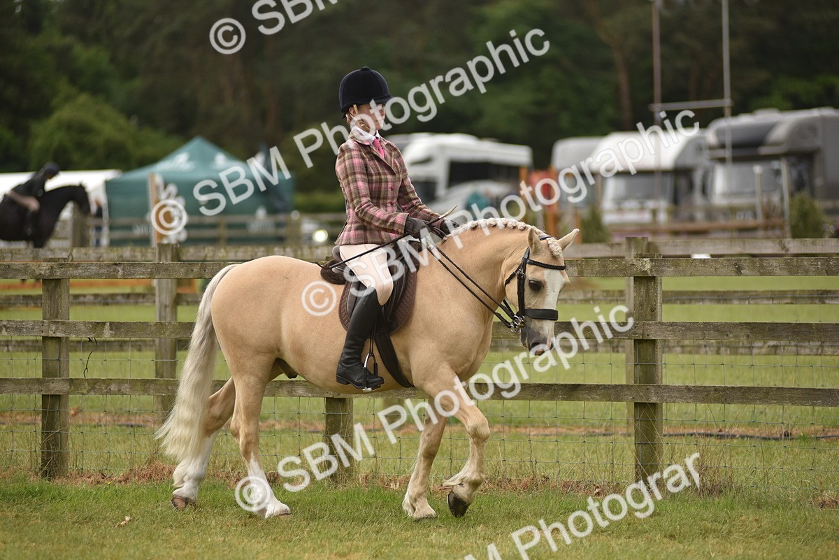 SBM_11981 - Class 110-112 - LIHS BSPS Performance Pones