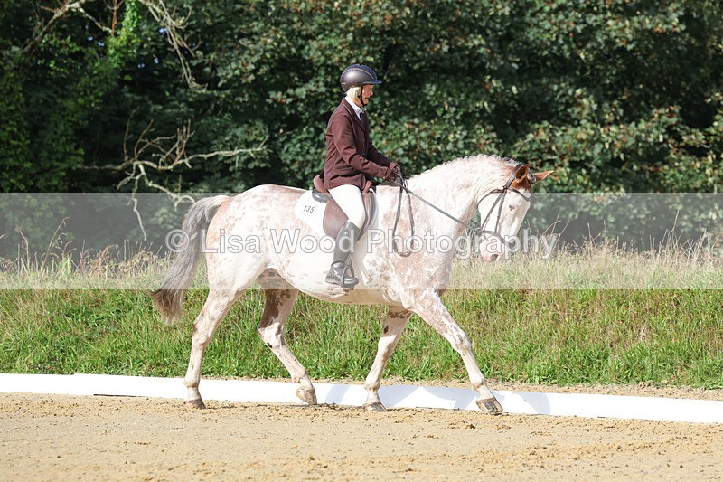 3E7A2377 - Class 1: Intro 4 2024 section A