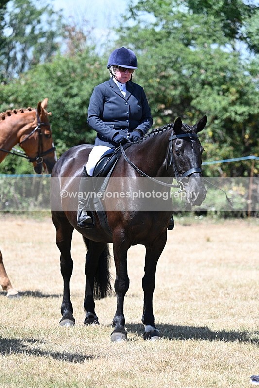 WJ7_3155 - Class 7 Riding Club Show Horse