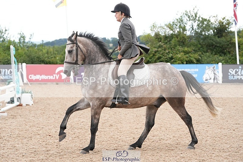 250722-155728-00179 - 70cm