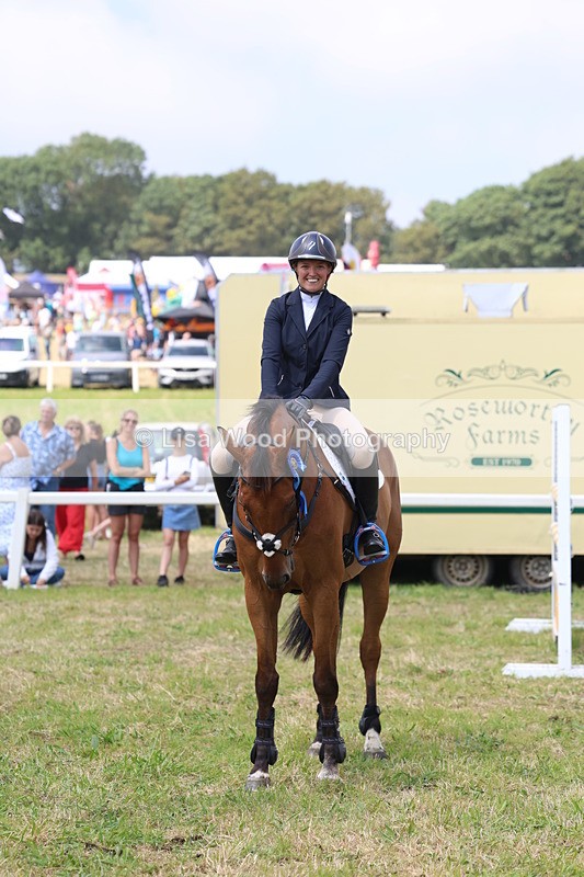 3E7A3466 - Class 10: Senior Foxhunter/1.20 open
