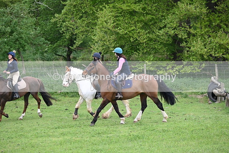 WJ6_3116 - A camera