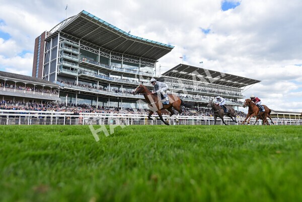 yr12052022r5-27 - Race 5 4.10pm British Stallion Studs EBF Westow Stakes