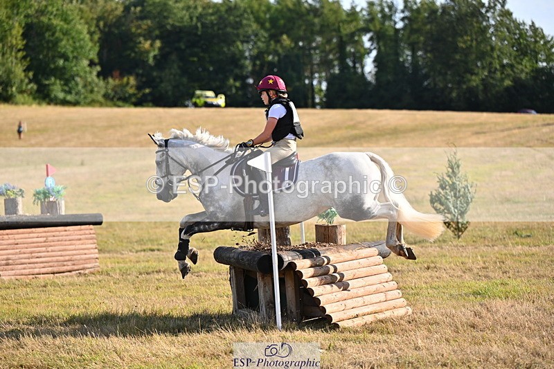 250803A-181106-18254 - R-824-Poppy.Wilkinson-DAISY.DER.BLUME