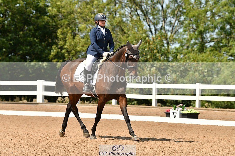 250817-134109-10038 - 033-Frankie.TorodeFirst.Impression.VI