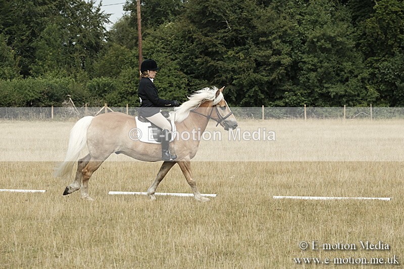 _PJP5721 - Dressage Classes BVRC Show 2018