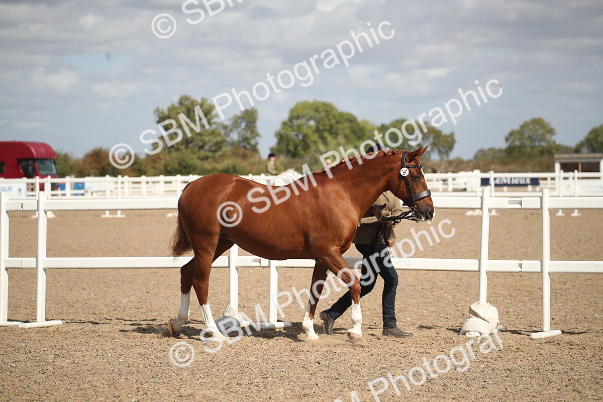 SBM_23413 - Class 604 - 2026 - Area IH Diamond