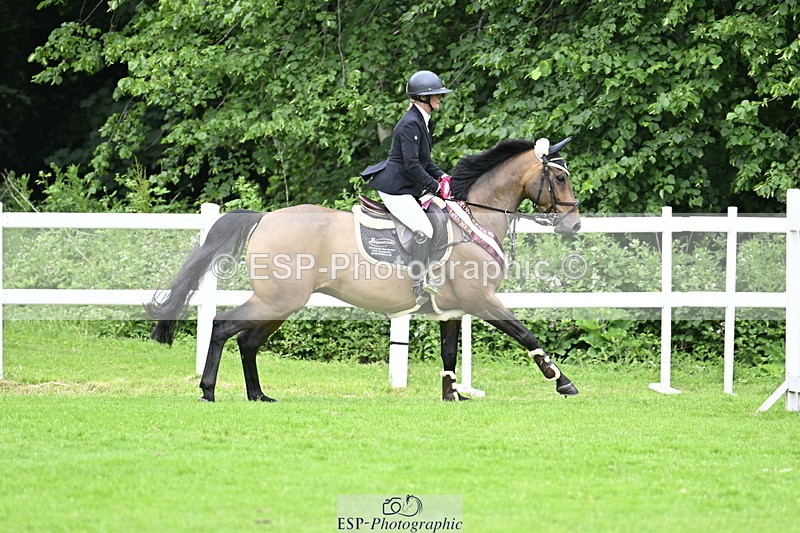 250613A-135839-02433 - Cls 3 Snr Foxhunter