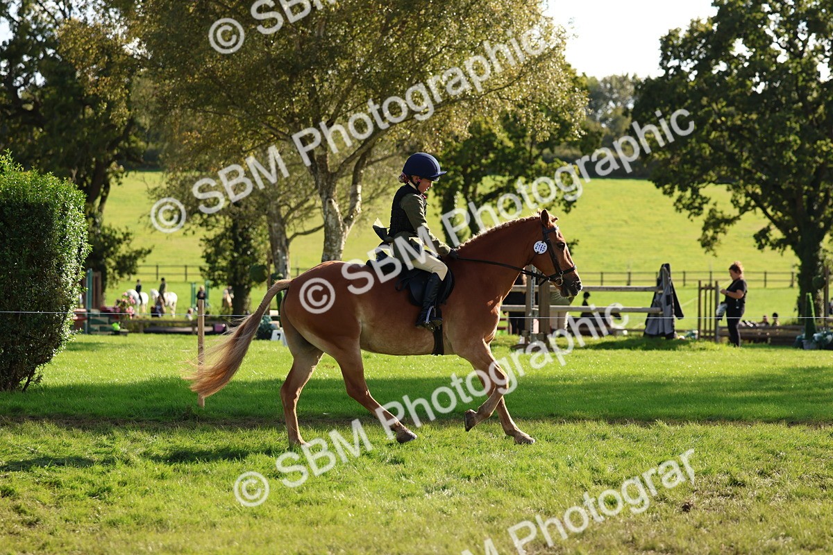 SBM_52393 - S13 - Pony Club Pony