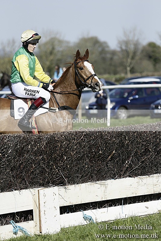 PtP 260317 174 - Mendip Farmers Point-to-Point Ston Easton 26/03/17