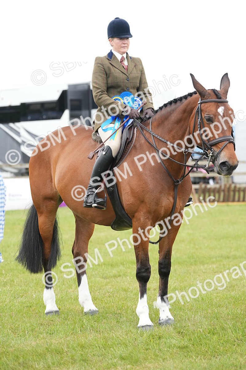 SBM_00027 - Class 100-102 - RIHS Working Hunter