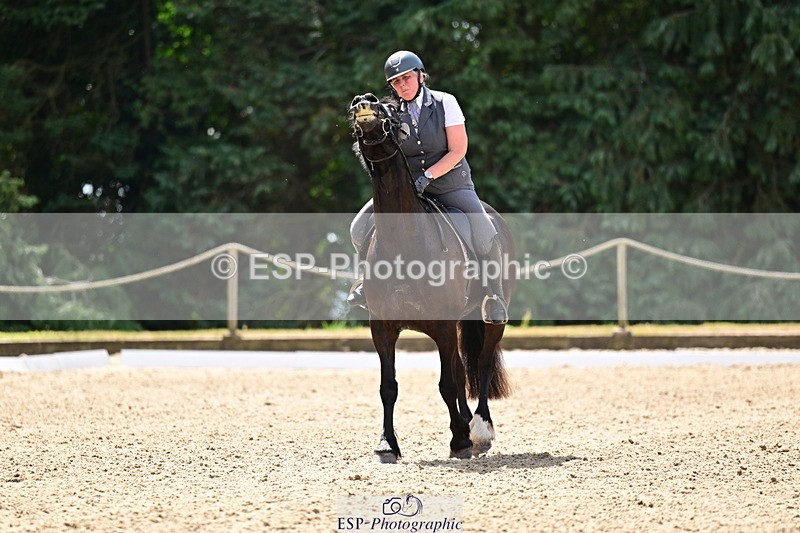 260802A-115921-06043 - Novice Silver break- end