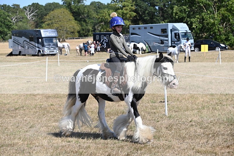 WJ6_9164 - Championship Classes 33-38