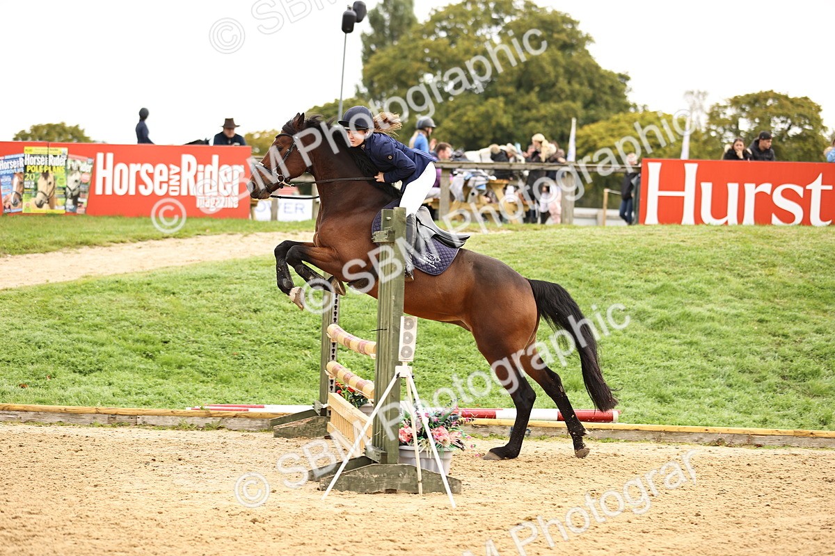 SBM_58500 - J41 - Grand Tour Horse & Pony 95cm