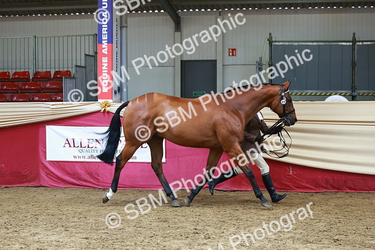 SBM_23202 - Class 903 - Supreme Final - IH Pre Vet