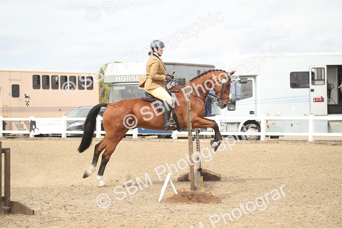 SBM_16783 - Class 507b - Working Veteran 60cm (20+)