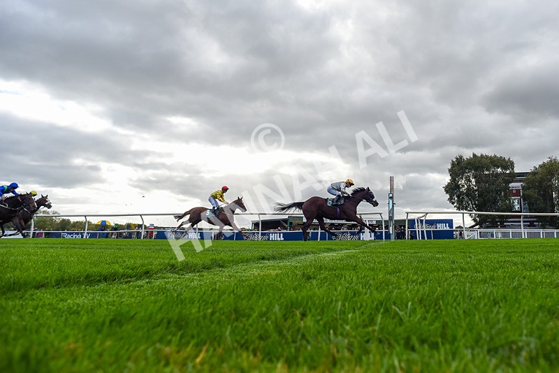 171026-Race 3-Hengest-8884 - Race 3 2.10pm Download The Raceday Ready App Handicap