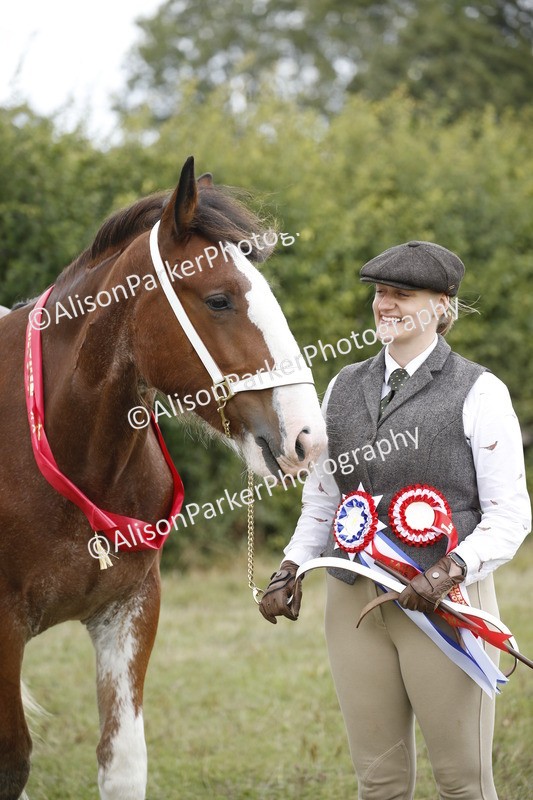 20250831-4504 - SUPREME CHAMPIONSHIP