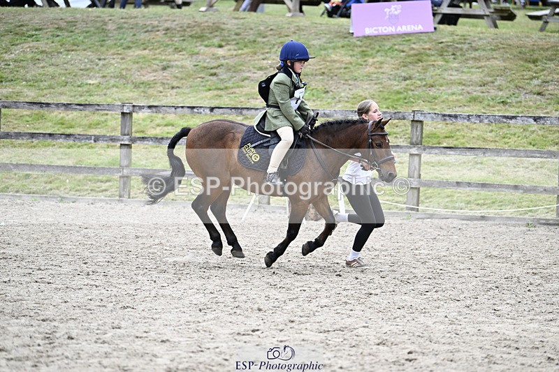 240822X-125931-07738 - 40cm LR R2 13.00 to 15.00