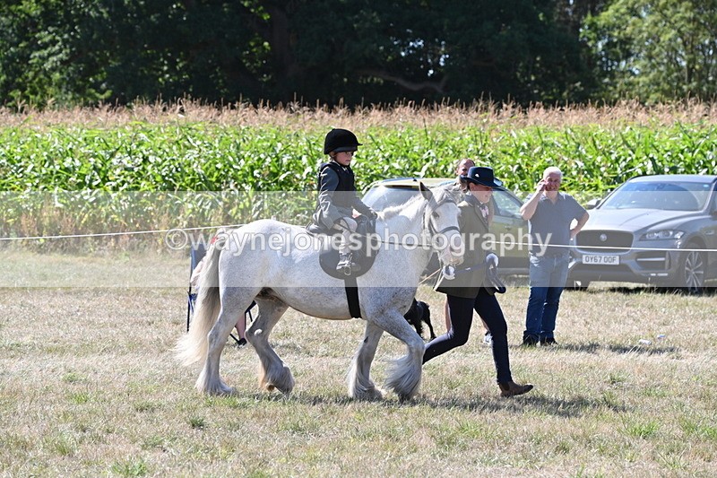 WJ6_7915 - Class 36 Lead Rein