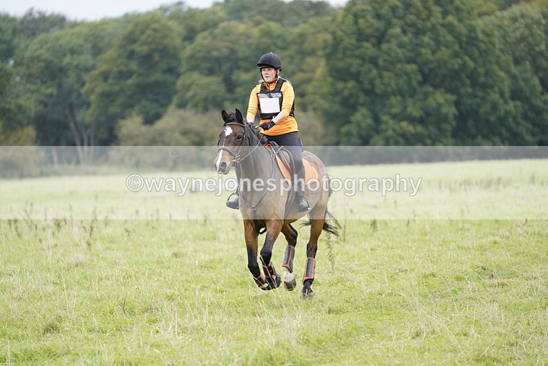 _DSC6991 - Time at Photographer 10:13 to 10:42