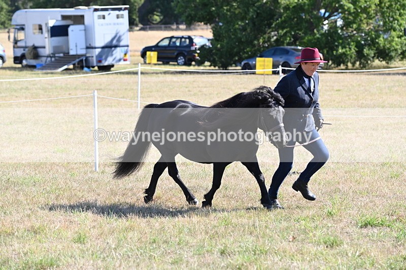 WJ6_4242 - Class 16 Condition & Turn Out