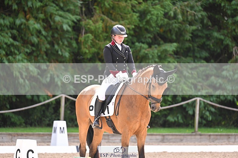 240809-104427-00378 - 173-Daisy.Winkle-Decandro.Hit.LDS