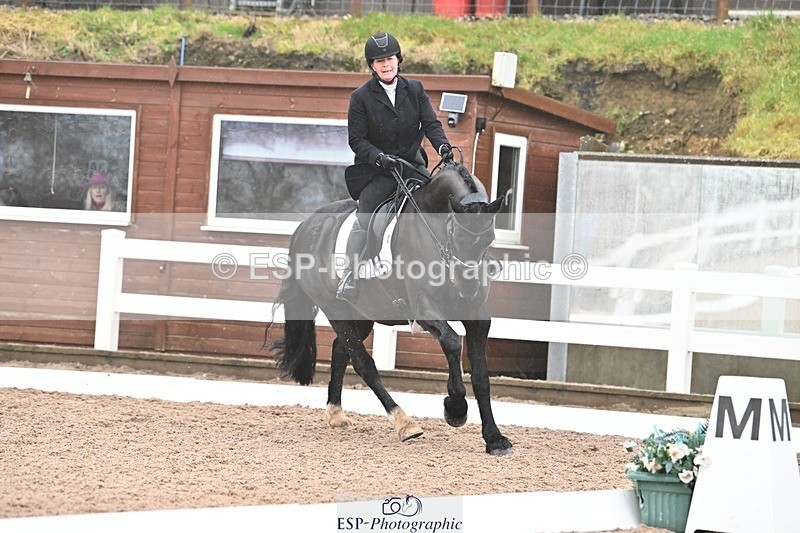 250215-103421-03051 - 244-Suzanne.Clark-Ballinamurra.Billy