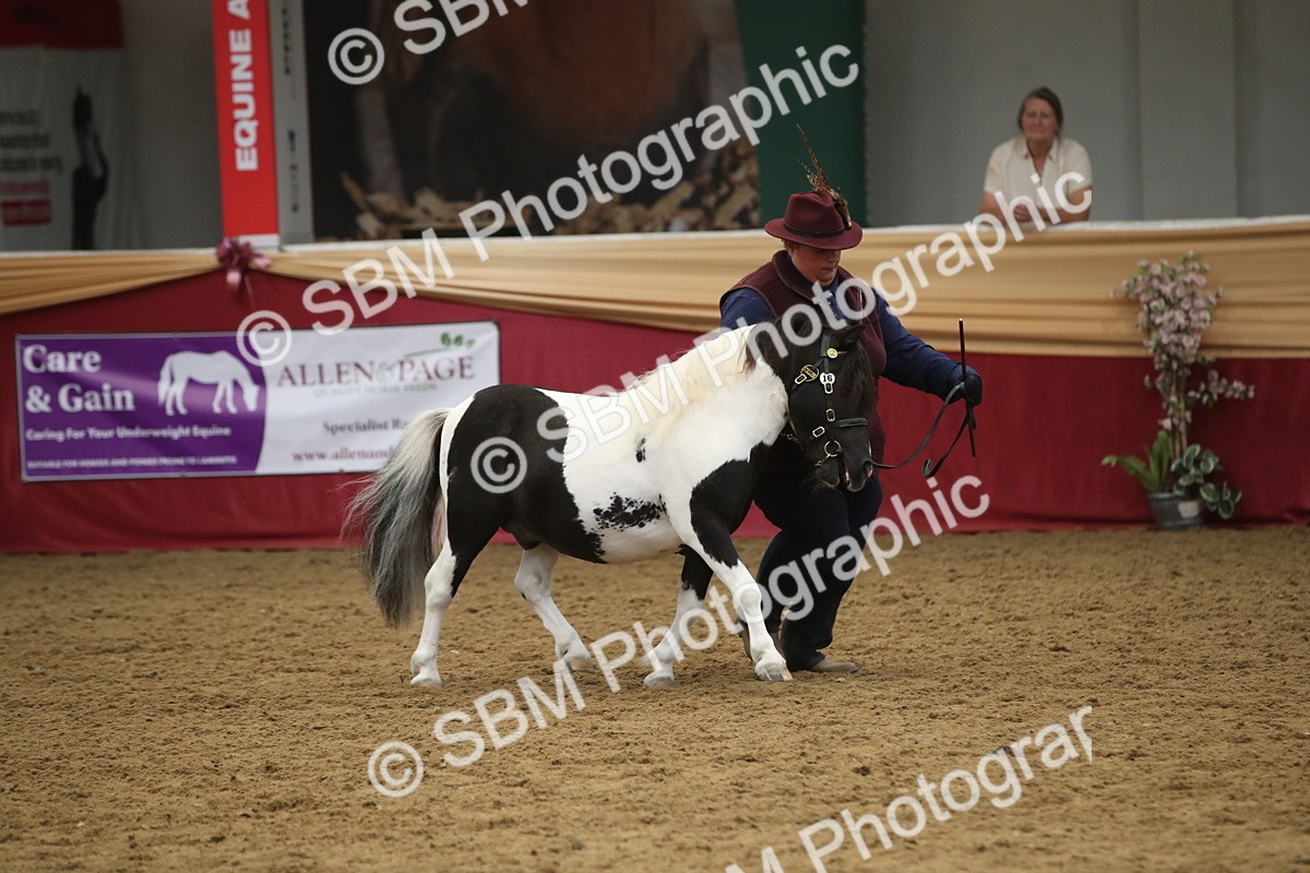 SBM_05722 - Class 9R - Regional IH Pre-Vet