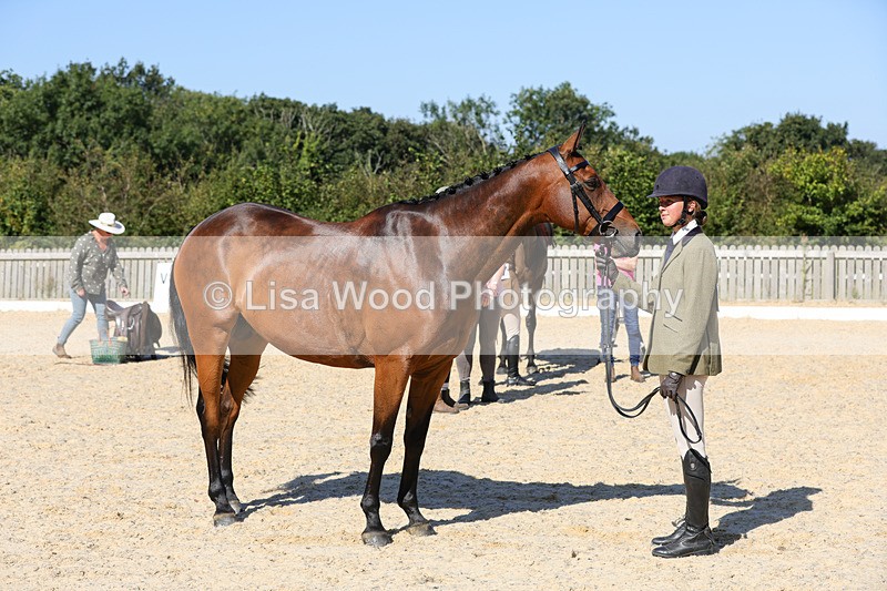 1X9A7926 - Class 10:Riding Horse