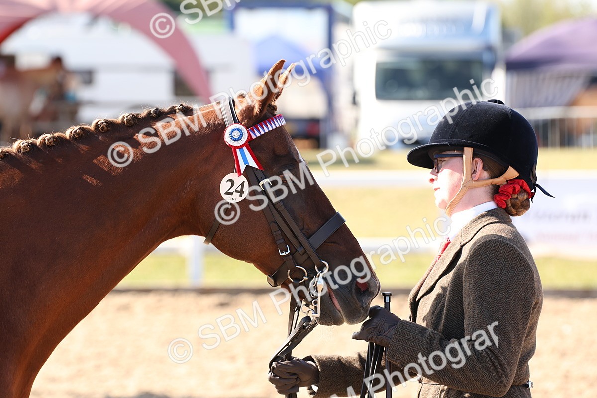 SBM_12825 - Class 205 - IH Show Pony - Show Hunter Pony