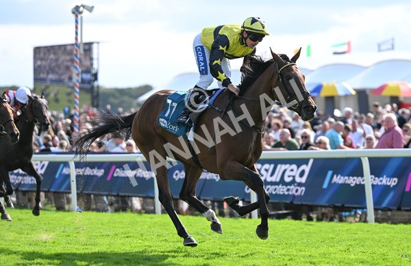 220825-219 Cape Flora - Race 5 4.10pm Assured Data Protection EBF Fillies' Handicap