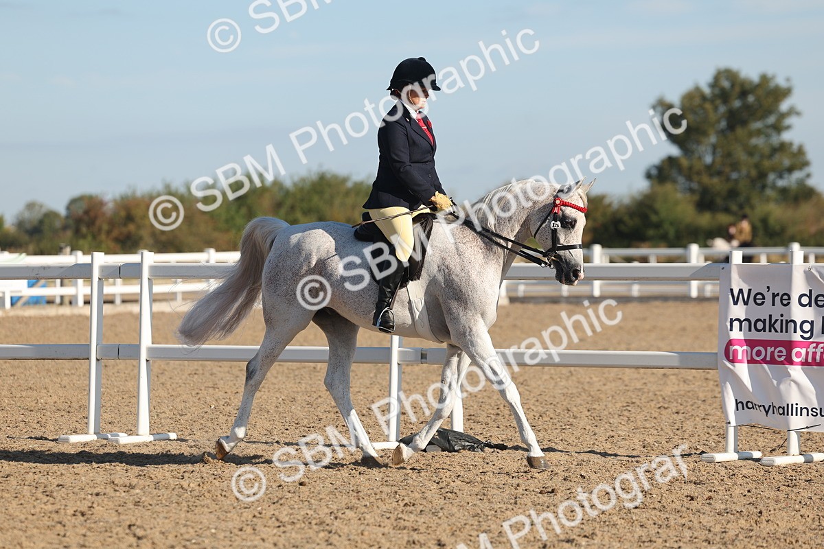 SBM_12166 - Class 303 - Ridden Pure Bred Horse Pony