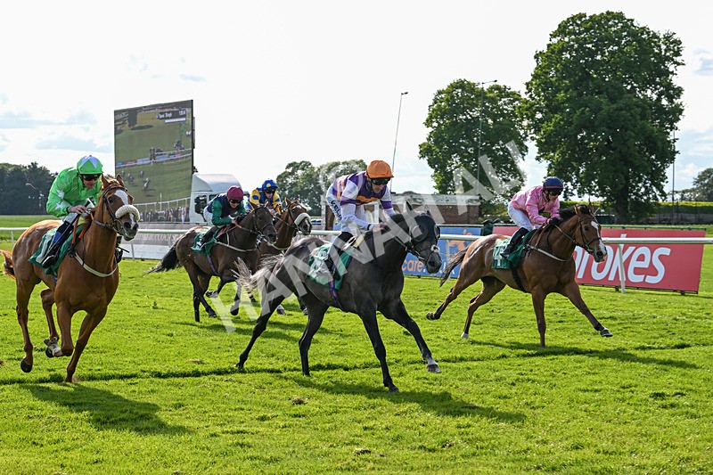 060625-Race 8-Arabian Cobra-5707 - Race 8