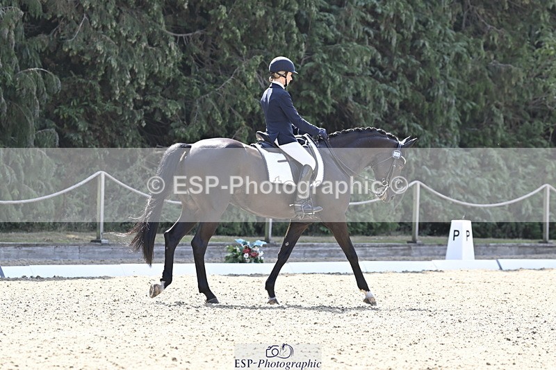 250810A-111936-05361 - 106-Lynn.WickesFurstino