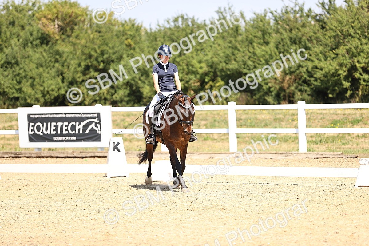 SBM_003929 - Intro 2