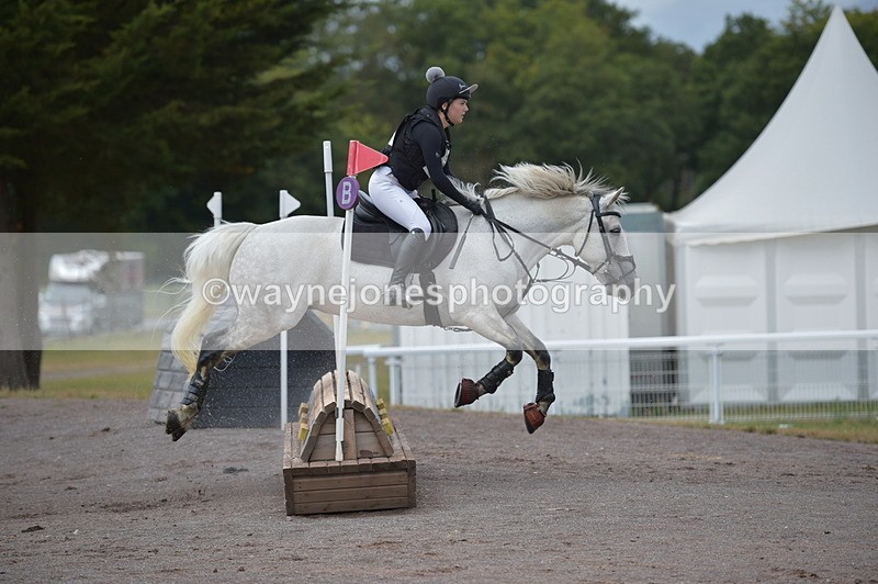 NGP_1949 - XC Time 11:20 to 11:36