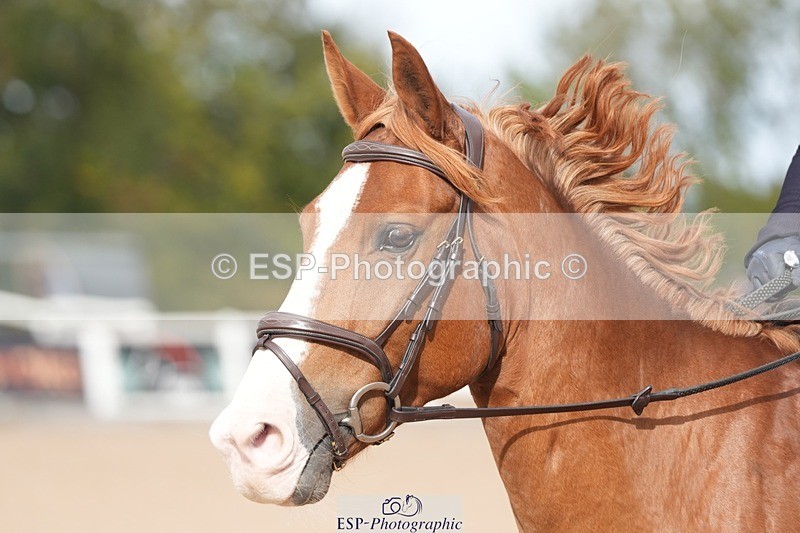 251005-112602-03231 - Cls 23 85cm Amateur Qualifier